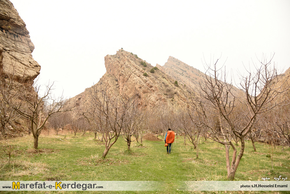 اماکن گردشگری مشهد